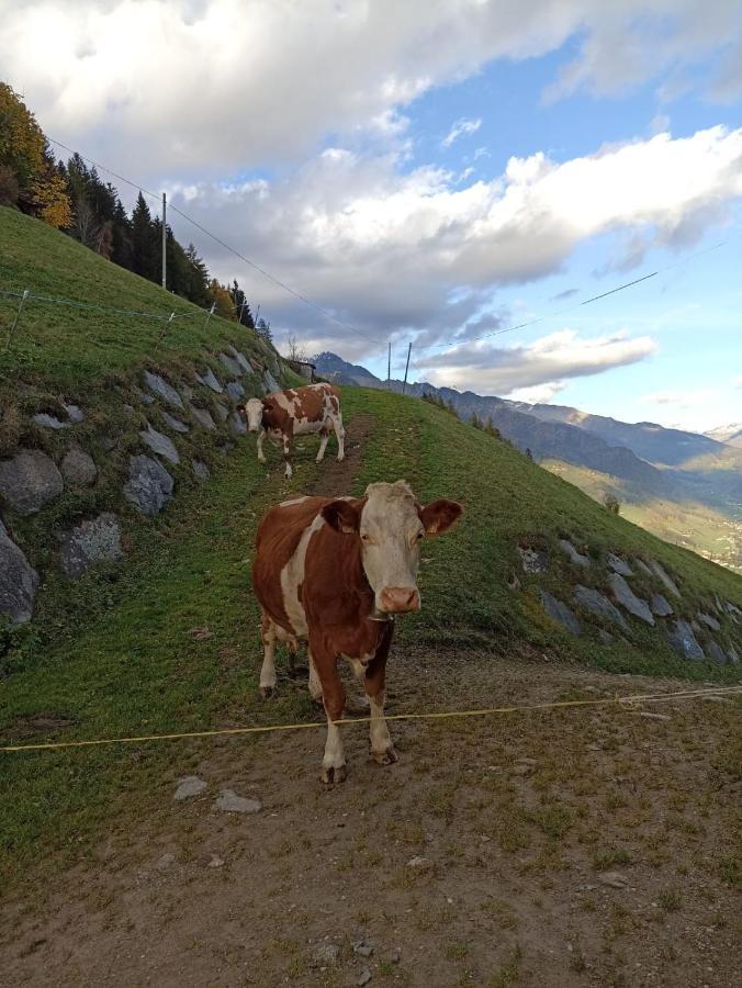 Ferienwohnung Ortnerhof Ahrntal Exterior foto